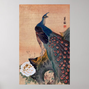 Poster Paon japonais no.1