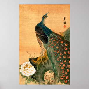 Poster Paon japonais no.2