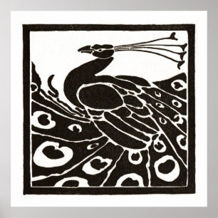 POSTER PAON NOIR ET BLANC