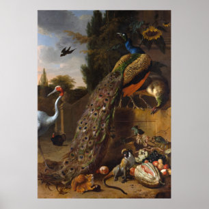 Poster Paons - d Hondecoeter de Melchior