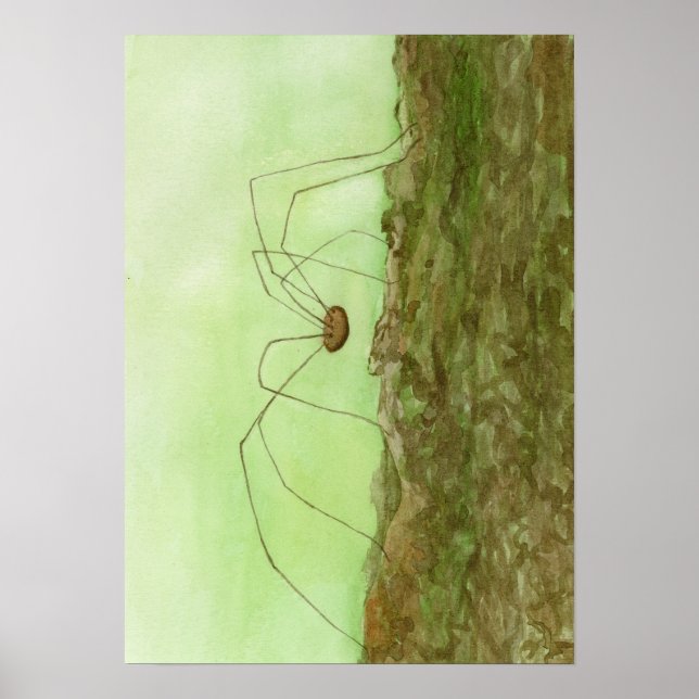 Poster Papa Long Jambes (Devant)