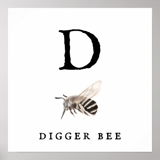 Poster Papier d'affiche "D" Digger Bee Value (Matte) (Devant)