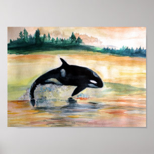 Poster Papier d'affiche de valeur Orca (Matte)