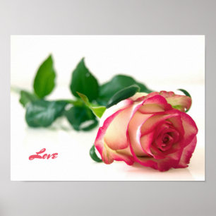 Poster Papier d'affiche de valeur rose (amour) (mat)