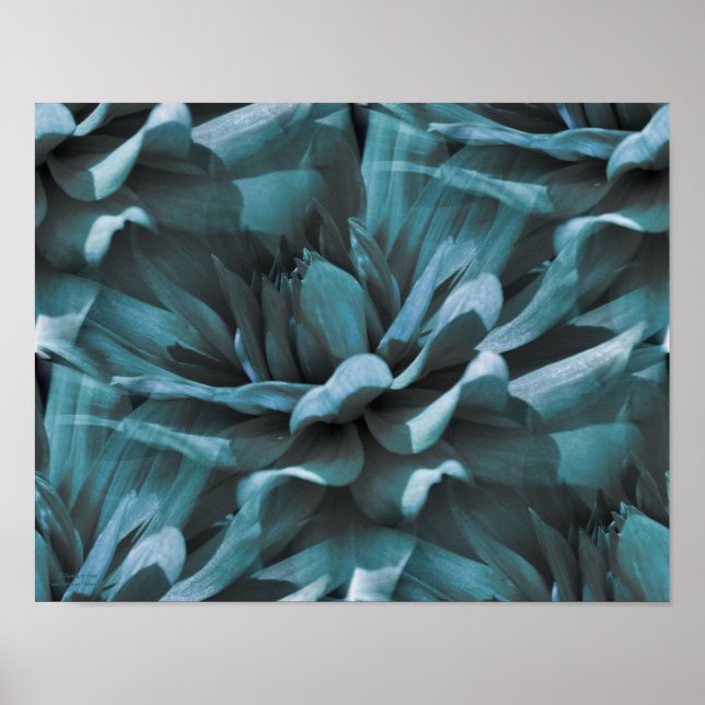 Poster Papier floral bleu dahlia carrelé (Devant)