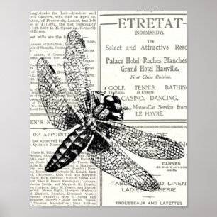 Poster Papier Journal Insecte Rétro Vintage Noir et Blanc