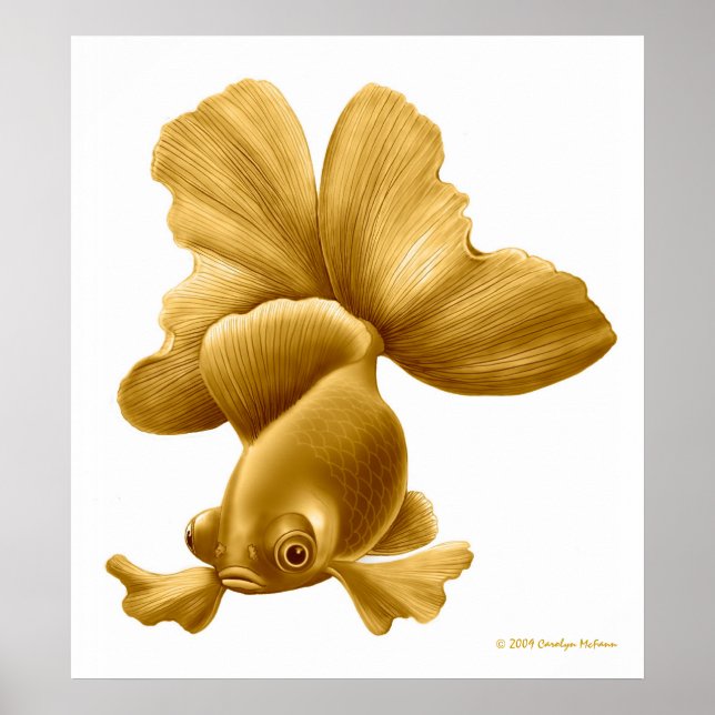 Poster Papier noir Moor Goldfish (Devant)