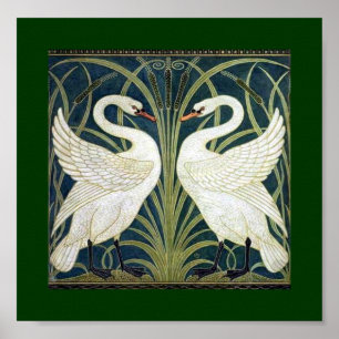 Poster Papier peint Swan and Rush and Iris