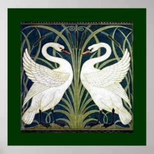 Poster Papier peint Swan and Rush et Iris avec bordure ve