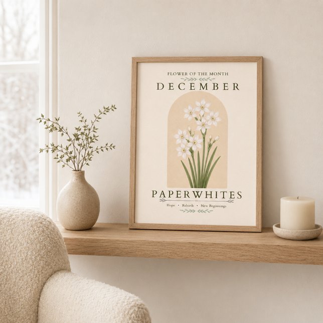 Poster Papierweiße Dezember-Geburtsblume (Von Creator hochgeladen)
