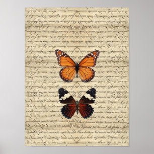 Poster papillon