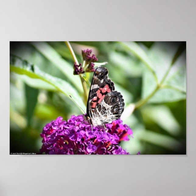 Poster Papillon, (Devant)