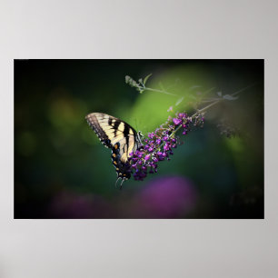 Poster Papillon,