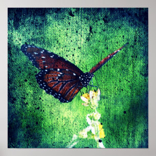 Poster Papillon
