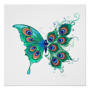 Poster Papillon aux plumes de paon vert