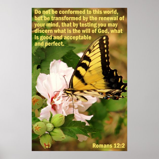 Poster Papillon avec Romans 12:2 (Devant)