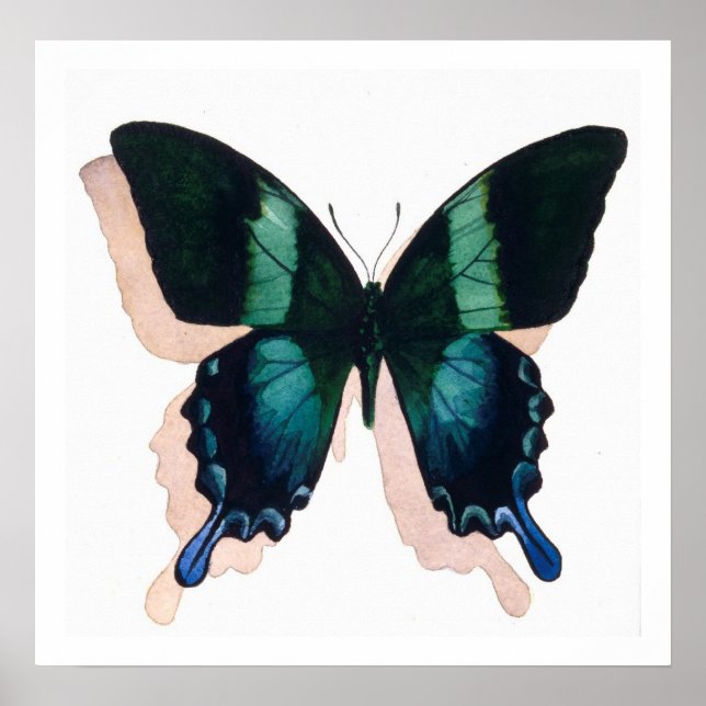 Poster "Papillon bleu" Insect Aquarelle Art (Devant)