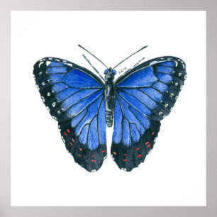 Poster Papillon bleu Morpho aquarelle peinture
