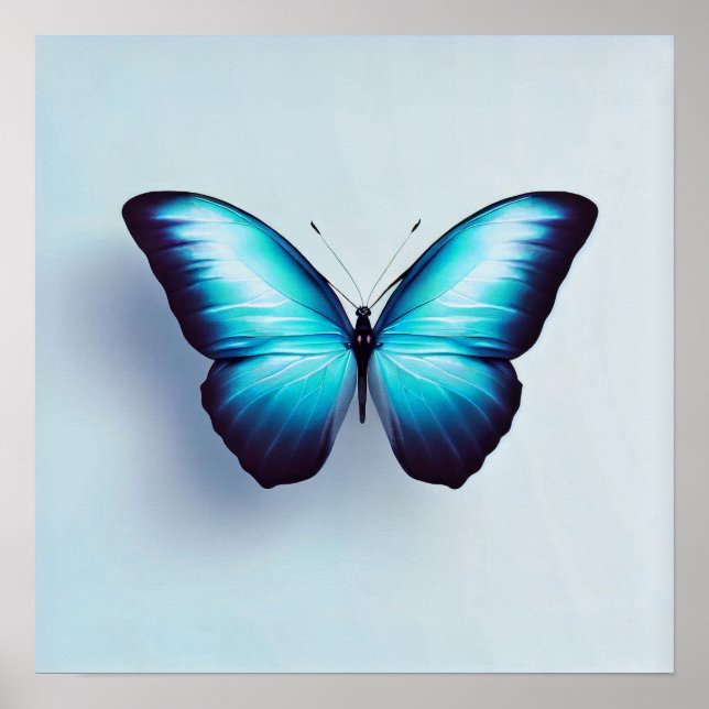 Poster Papillon contre l'Arrière - plan blanc (Devant)