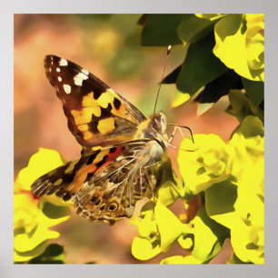 Poster Papillon de la Dame peint sur Myrtle Spurge
