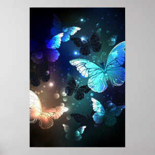 Poster Papillon de nuit