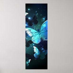 Poster Papillon de nuit
