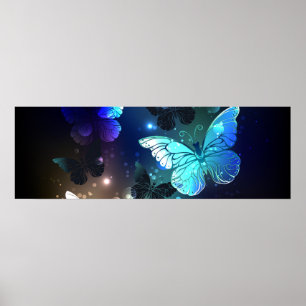 Poster Papillon de nuit voltigeant