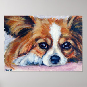Poster Papillon Dog Print