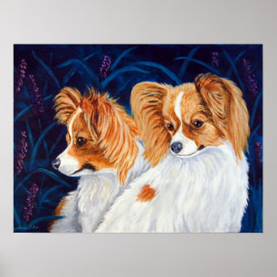 Poster Papillon Dog Wall Print