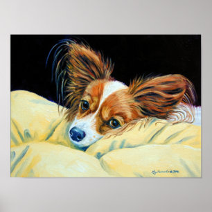 Poster Papillon Dog Wall Print