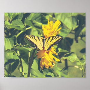 Poster Papillon et fleurs jaunes