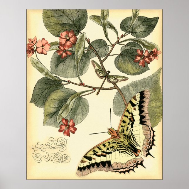 Poster Papillon et libellule à fleurs rouges (Devant)