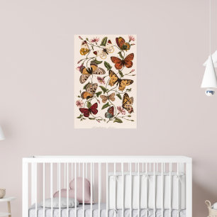 Poster Papillon et papillon de nuit de Paul Gervais