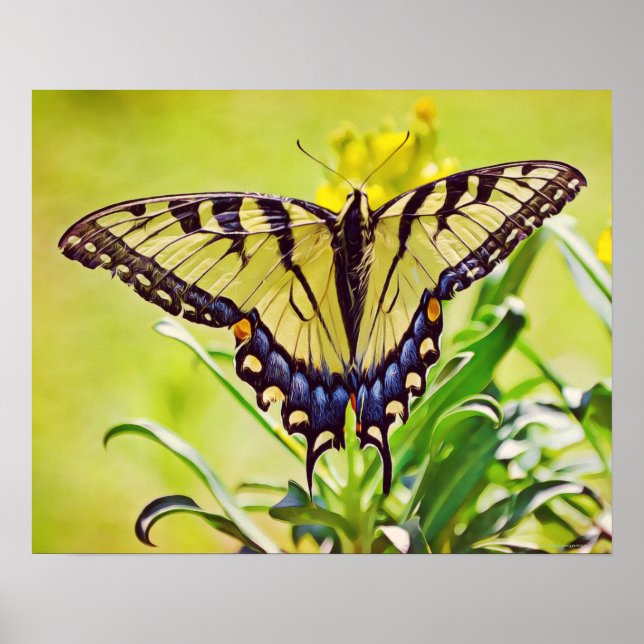 Poster Papillon jaune - Art photographique Imprimer (Devant)