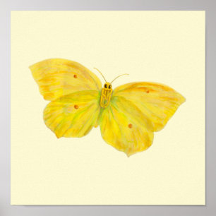 Poster Papillon jaune Citron commun en vol 