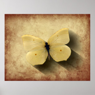 Poster Papillon jaune Grunge avec ombre