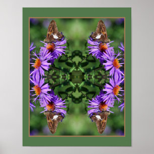 Poster Papillon Lady Peint Sur Aster Flower Abstrait
