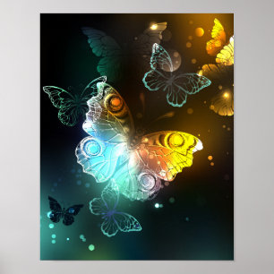 Poster Papillon lumineux et papillons de nuit