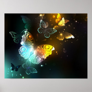 Poster Papillon lumineux et papillons de nuit