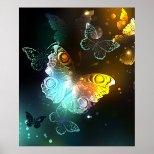 Poster Papillon lumineux et papillons de nuit