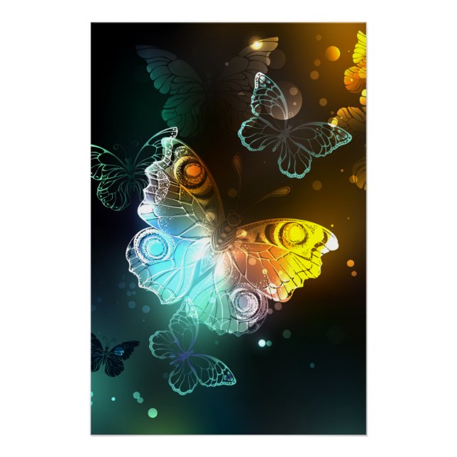 Poster Papillon lumineux et papillons de nuit (Devant)