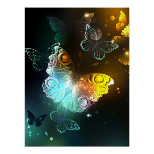 Poster Papillon lumineux et papillons de nuit