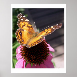 Poster Papillon Monarque 2