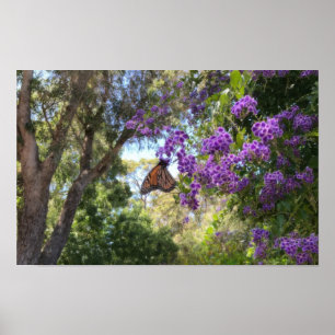 Poster Papillon Monarque sur Fleurs Violettes