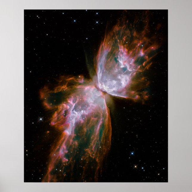 Poster Papillon Nebula (Devant)