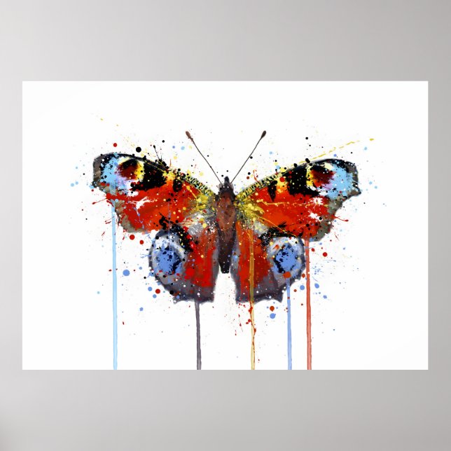 Poster Papillon Paon-du-jour (Devant)