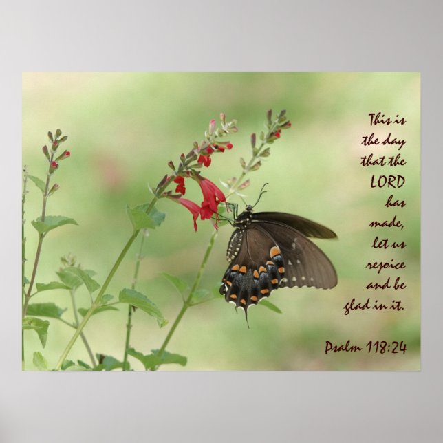 Poster Papillon sur Fleur sauvage, avec Psaume 118:24 (Devant)