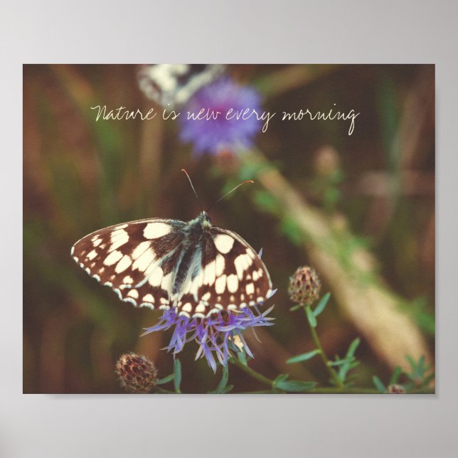 Poster Papillon sur une fleur bleue (Devant)
