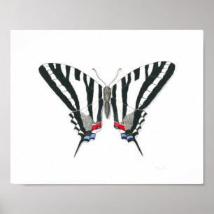 Poster Papillon Zebra Swallowtail Art