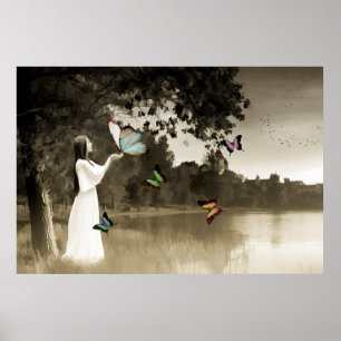 Poster Papillons